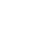 zebra-arrow