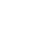 icon-2-1