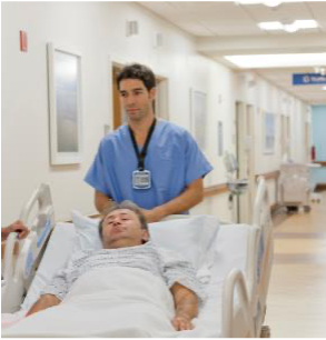 zebra-at-point-of-care zebra-at-point-of-care